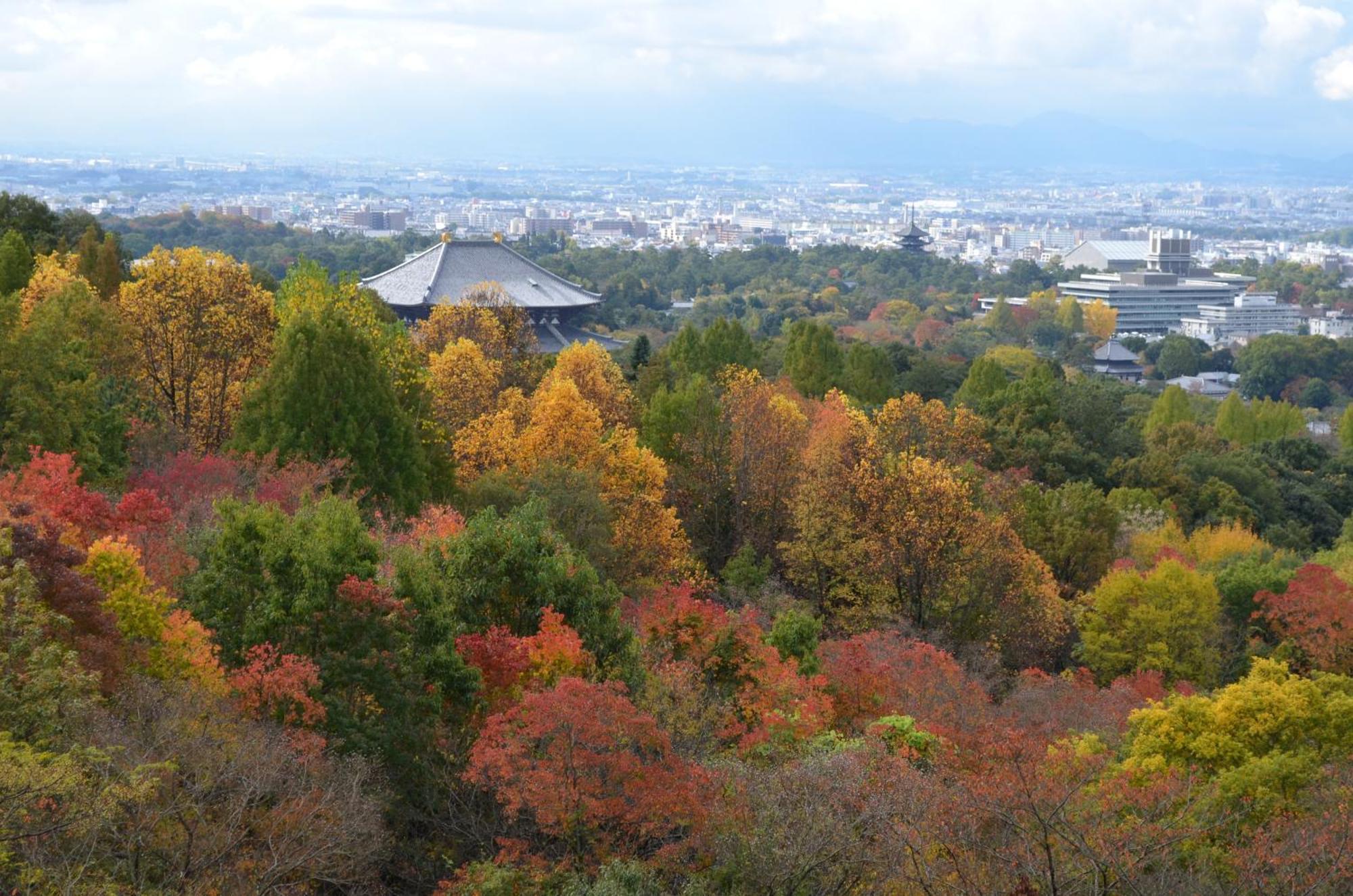 Ando Hotel Nara Wakakusayama -Dlight Life & Hotels- 外观 照片