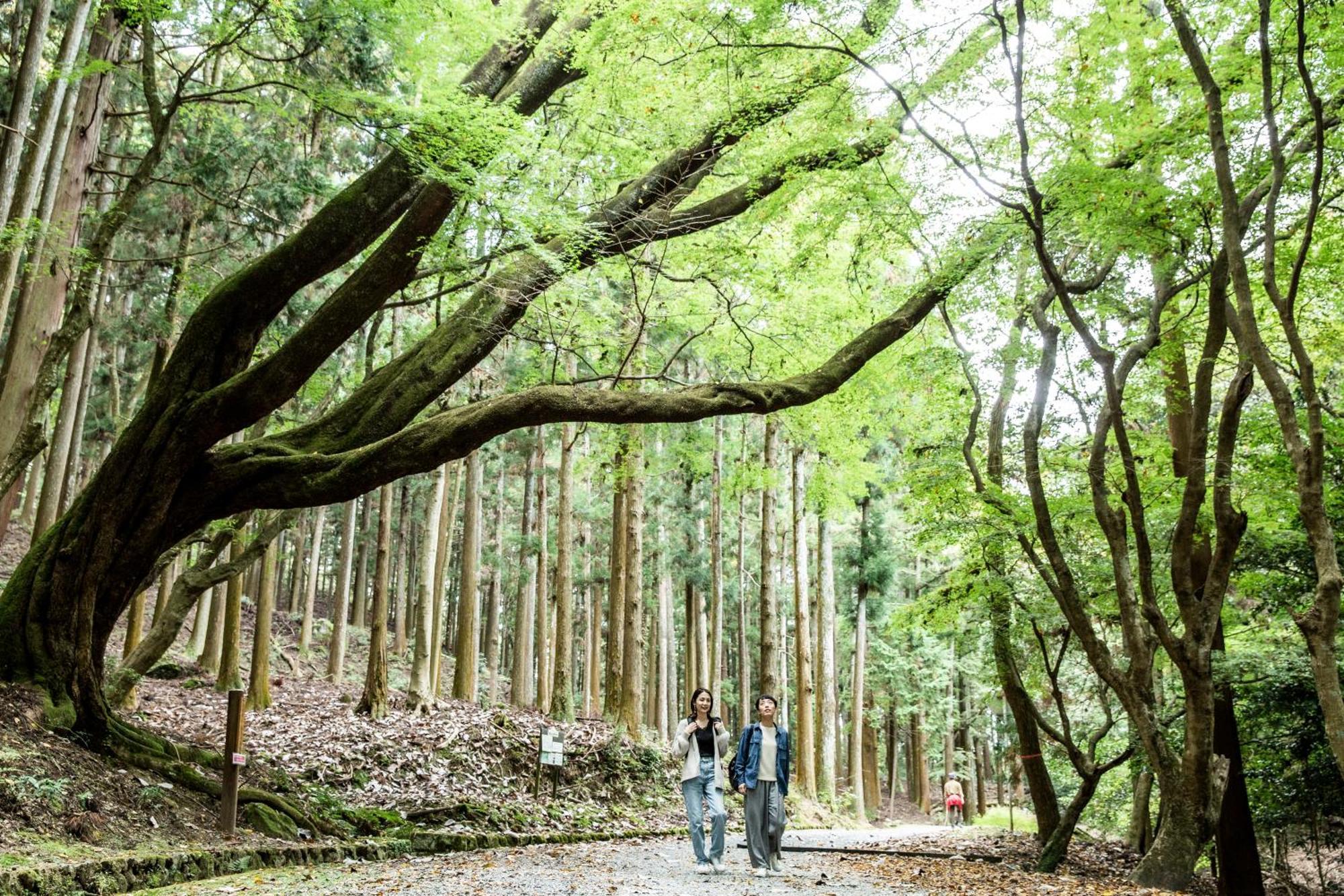 Ando Hotel Nara Wakakusayama -Dlight Life & Hotels- 外观 照片